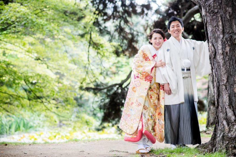 いろいろとイメージ画像を提示してしまいました