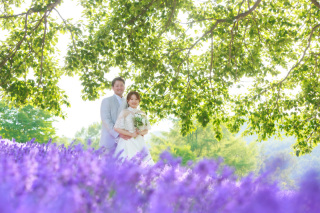 ラベンダーと札幌街ロケそしてモエレ沼公園3ヵ所こんな感じ