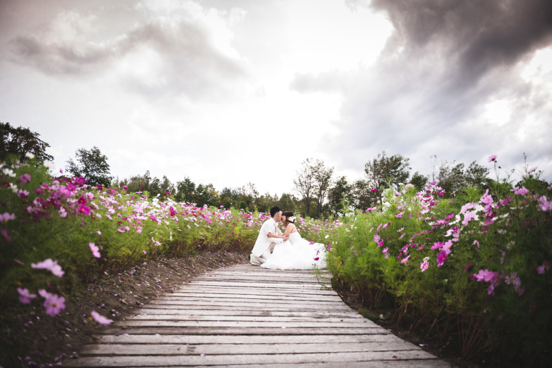 北海道の田自然の中で