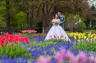 徳島県から新婚旅行希望はお花畑！渡部卓馬様　美希様さま ご新婦美希さまお客様の声