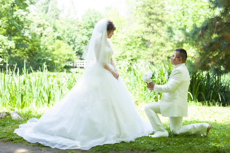 プロポーズをもう一度