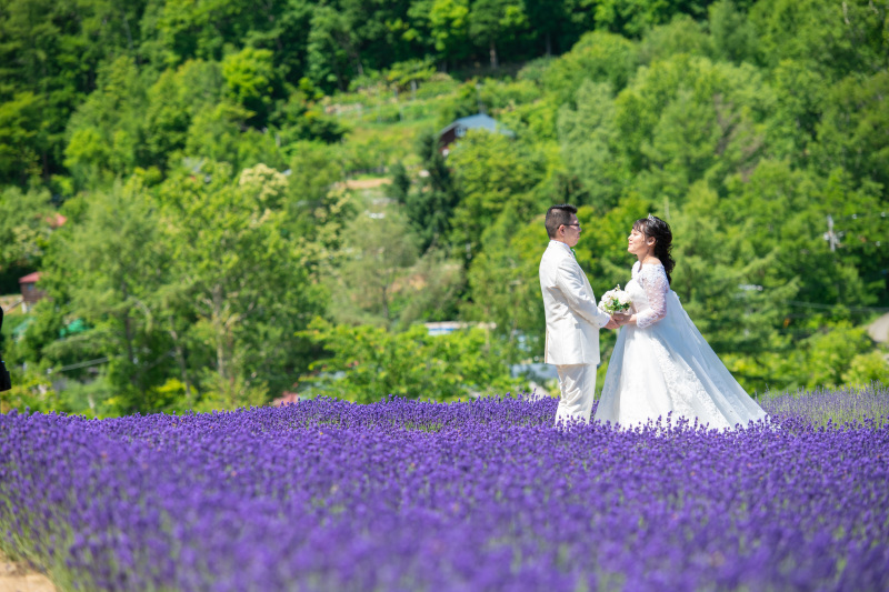 本当に穴場の幌見峠ラベンダー畑に移動