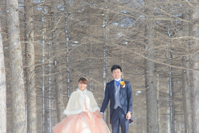 北海道、でっかいどう