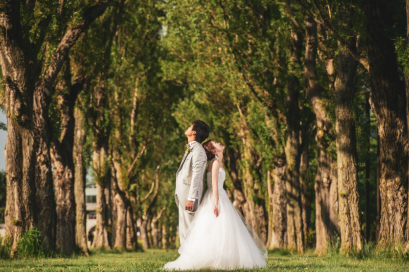 チームの感想(ディレクター)