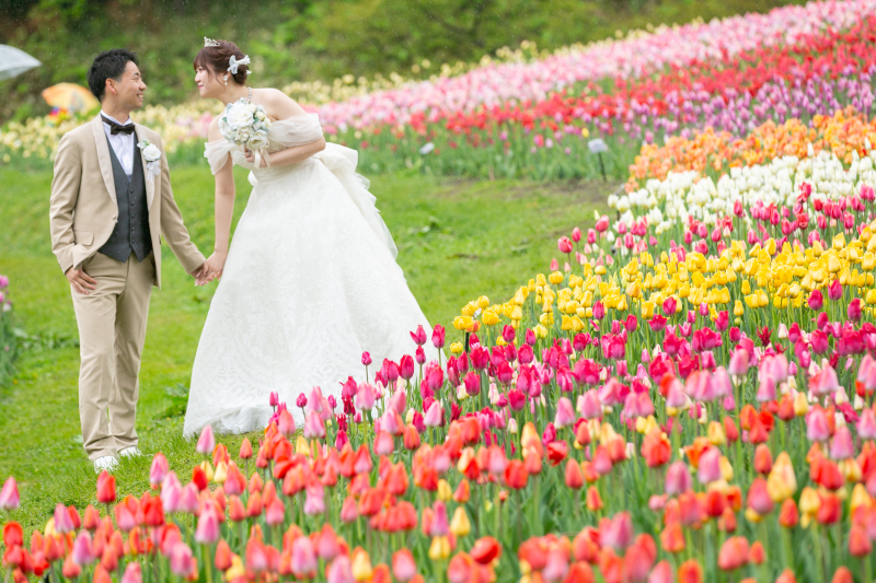 滝野スズラン公園チューリップの花畑と豊平館雨天の撮影ご新婦様の声