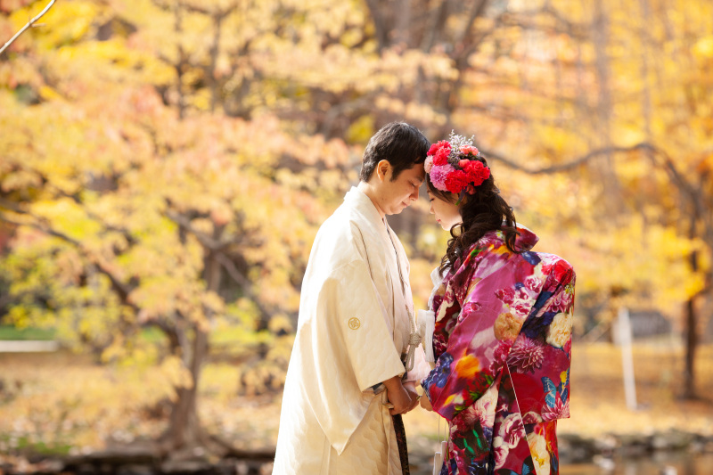 秋の紅葉・銀杏