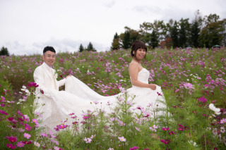 岡山から北海道旅行ドレス2点まとって秋桜でフォトウェディング