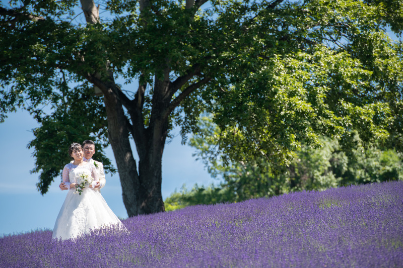 一言メッセージお願いします