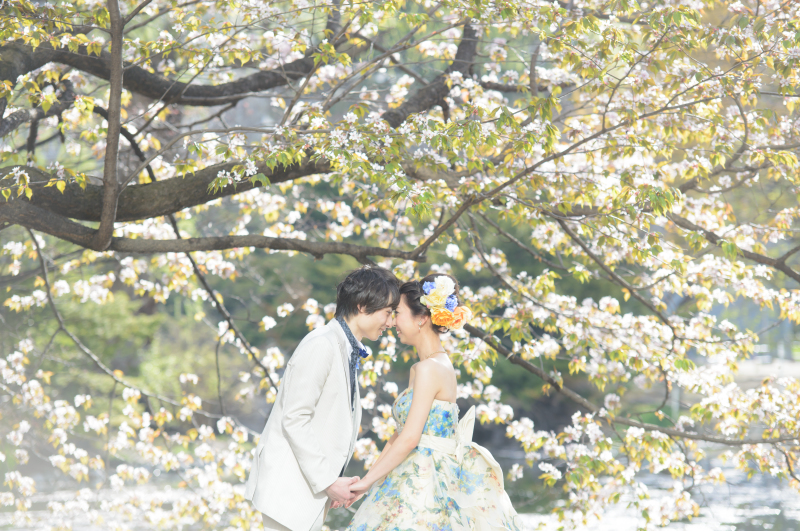 お花と陽の光の中で