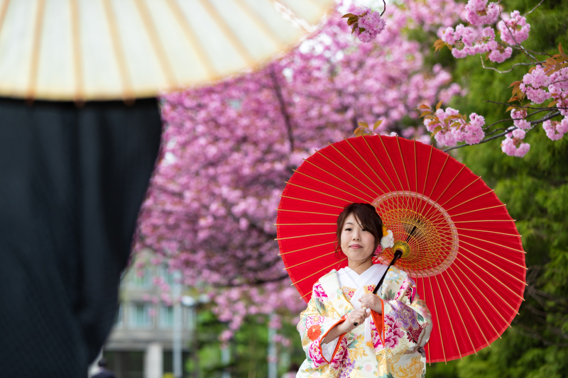 5月11日はオオヤマザクラが満開でした