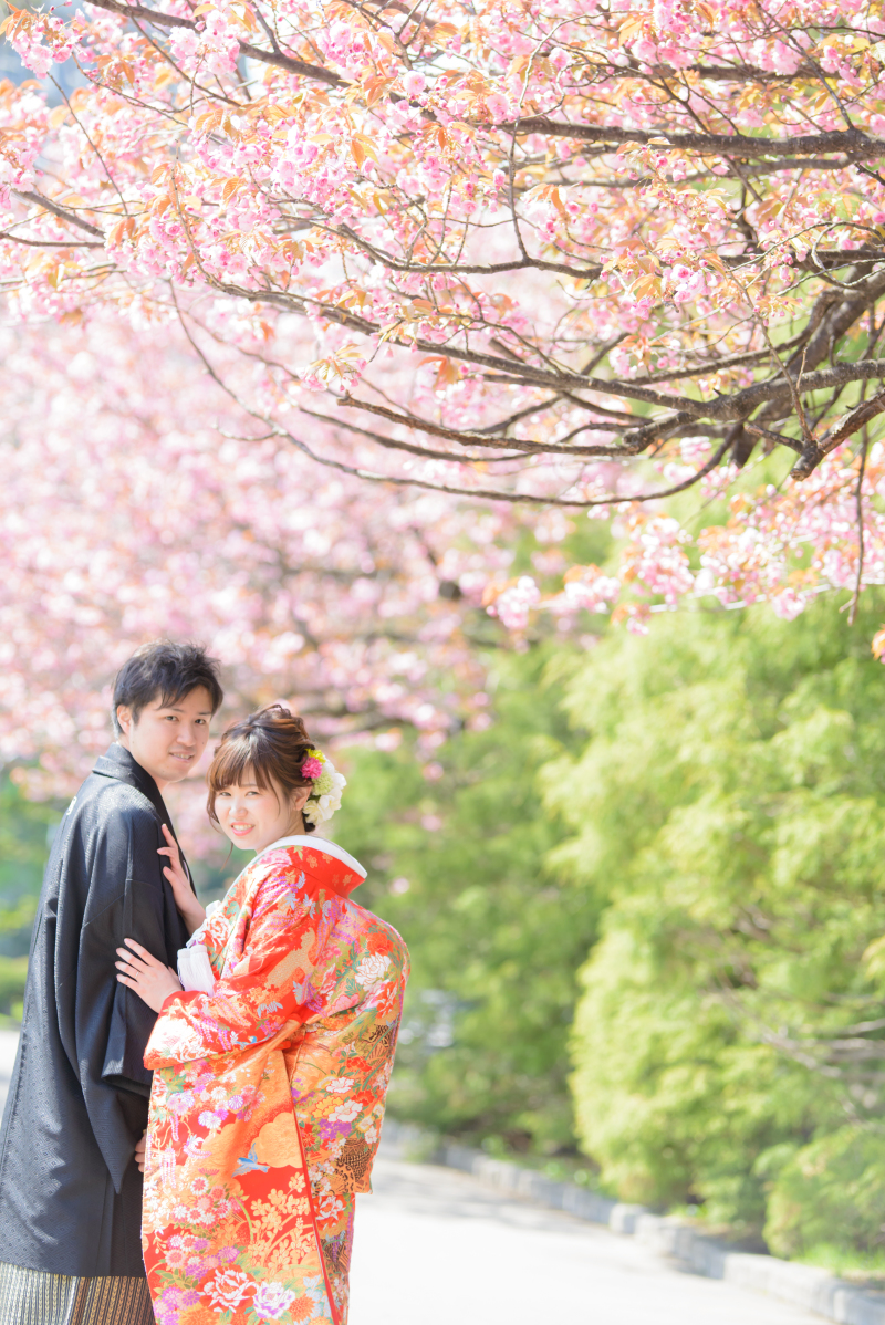 桜が咲いておりました