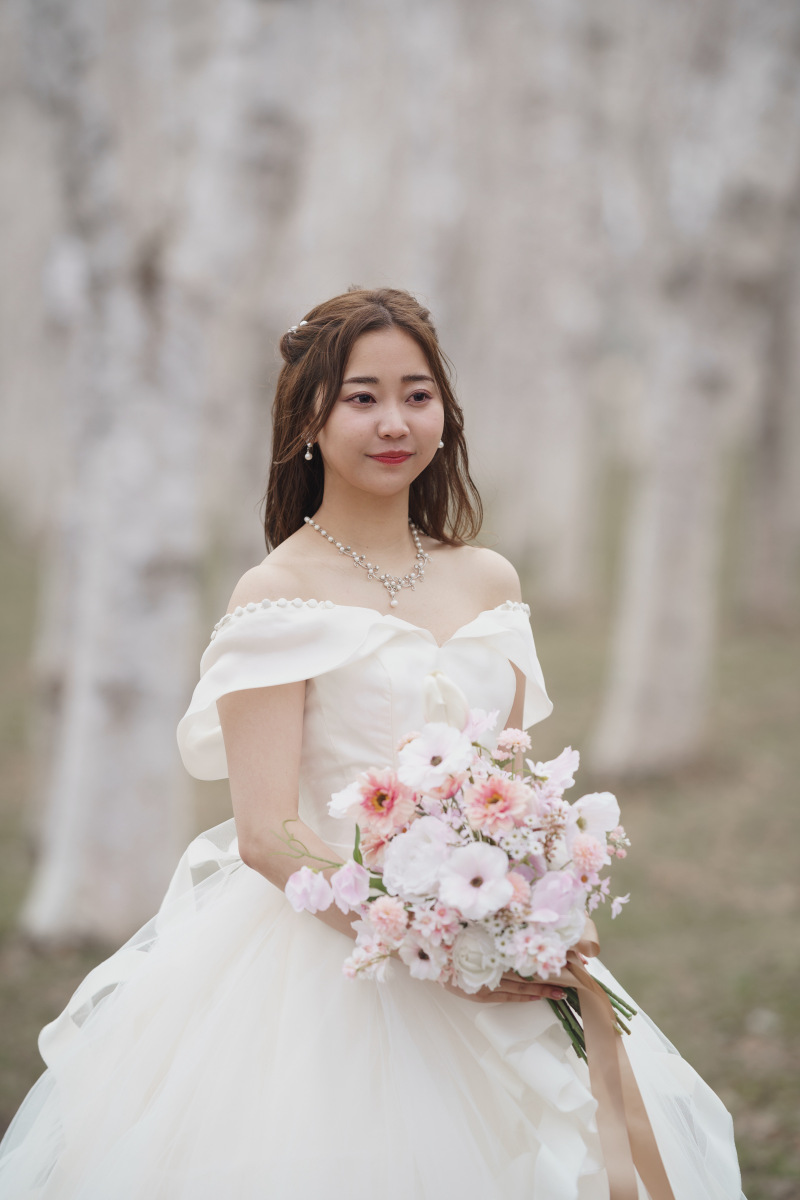 北海道らしい景色の白樺をご選択