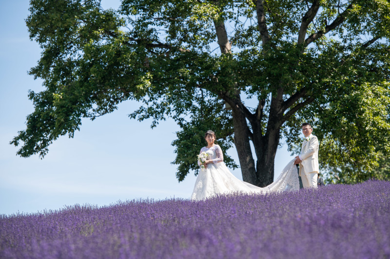 チーム感想をお聞かせください