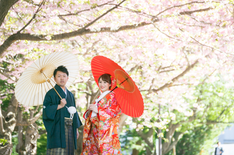 遅咲きの桜の下で