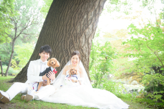 ワンちゃんと一緒に前撮り津田家体験レポート