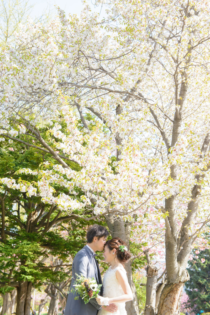 ウエディング桜でMEMORY