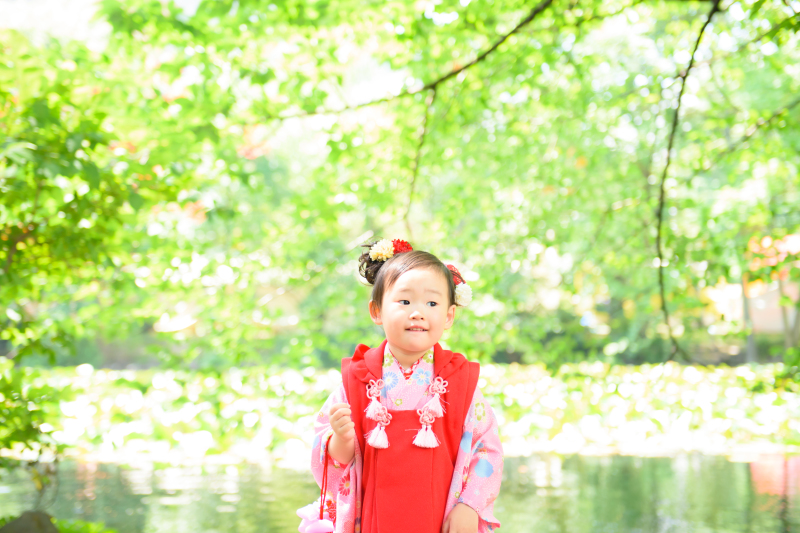 大人の結婚写真を選んだ理由は