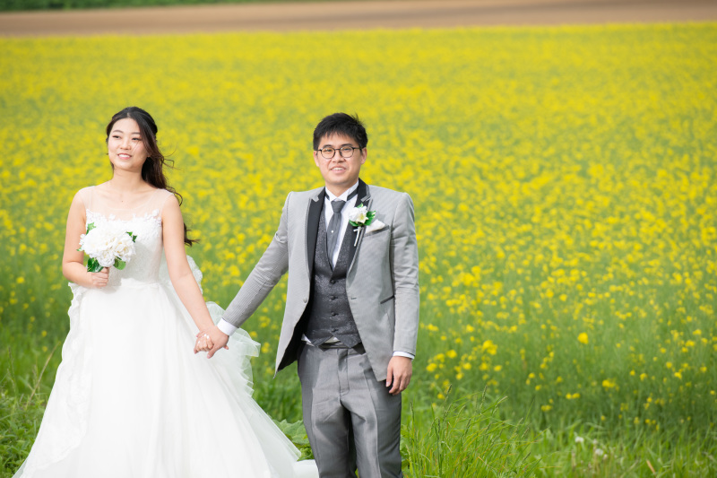 この時期のご提案は菜の花