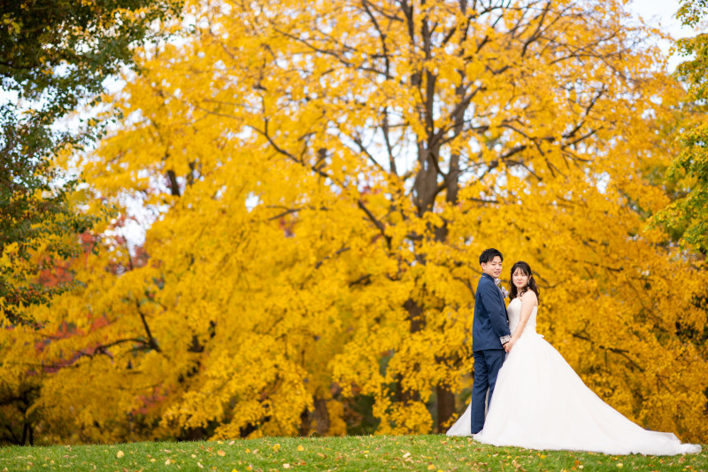 オトナフォトを選んだ理由