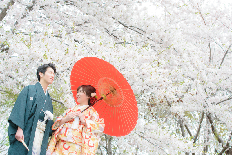 桜の状況をメールでやりとしました