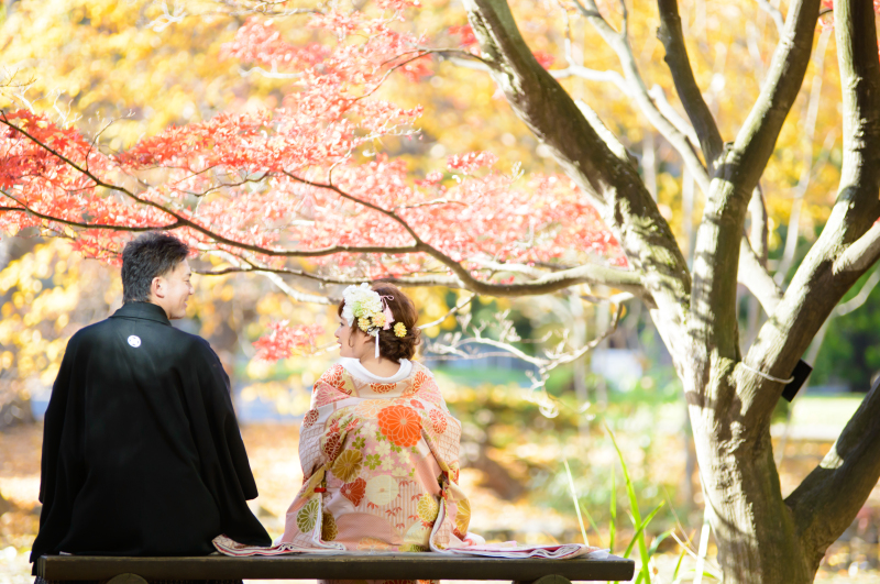 紅葉が最高でした