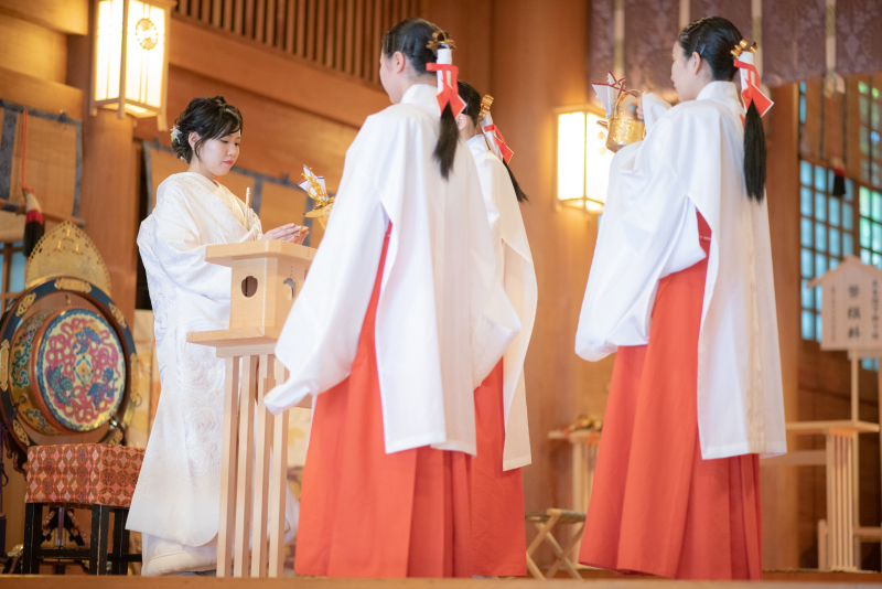 チーム感想をお聞かせください