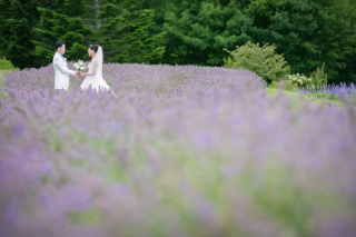 夏の日、白無垢でモエレ沼公園。ドレスで滝野すずらん公園フォトウェデイング