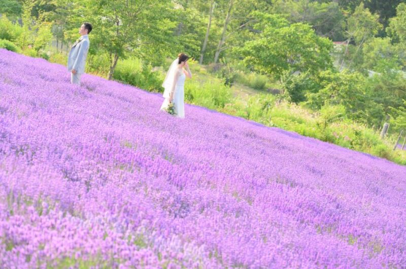 ディレクター・カメラマン