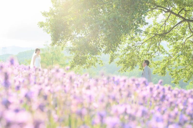 北海道らしいラベンダー畑でロケーションフォト／愛知県から【お客様の声】