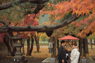 オトナのウェディングフォト 札幌 Cinderella Story Wedding photo