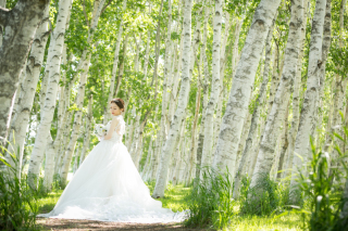 オトナのウェディングフォト 札幌 Cinderella Story Wedding photo