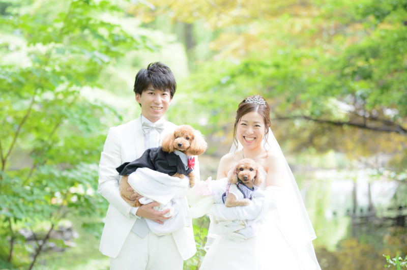 ワンちゃんもおしゃれして映えるお写真を残す