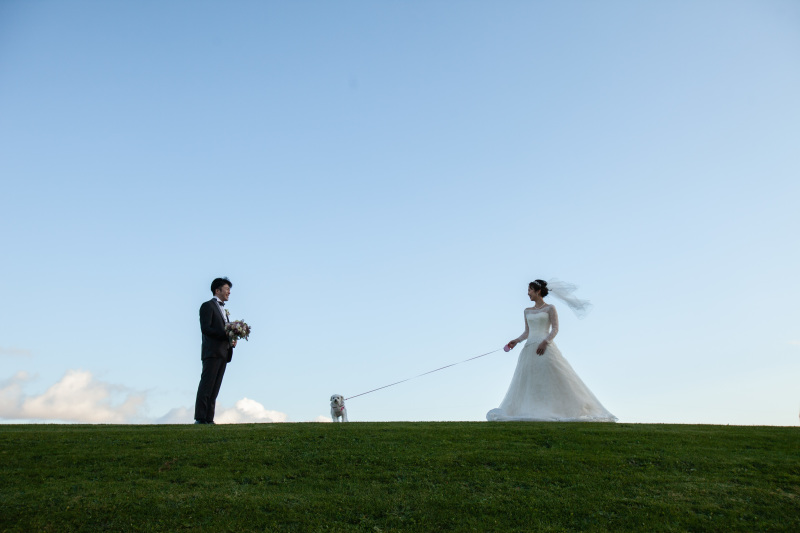 オトナのウェディングフォト 札幌 Cinderella Story Wedding photo_ペットと一緒に撮影できる