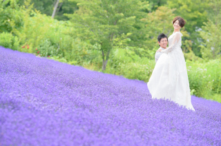 オトナのウェディングフォト 札幌 Cinderella Story Wedding photo