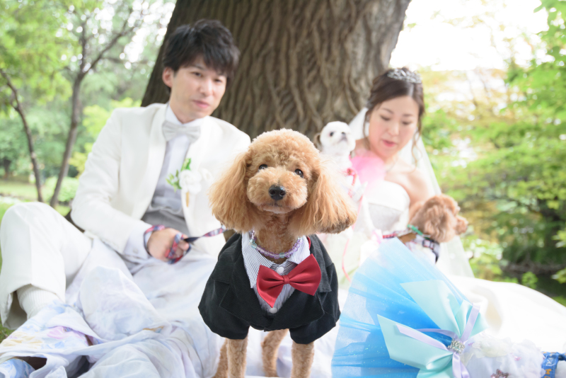 オトナのウェディングフォト 札幌 Cinderella Story Wedding photo_ペットと一緒に撮影できる