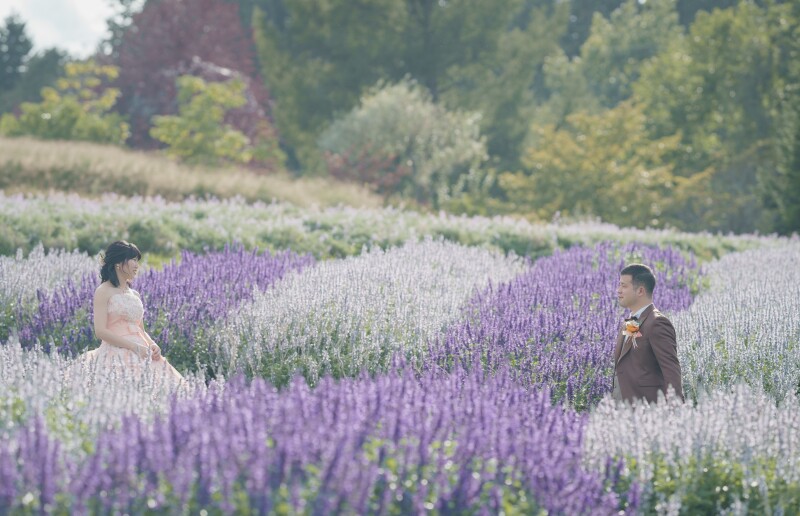 オトナのウェディングフォト 札幌 Cinderella Story Wedding photo_ガーデンで撮影できる
