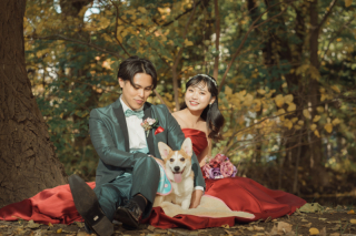 オトナのウェディングフォト 札幌 Cinderella Story Wedding photo
