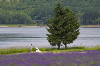 オトナのウェディングフォト 札幌 Cinderella Story Wedding photo_美瑛四季彩の丘、富良野鳥沼公園、かなやま湖