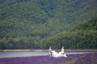 オトナのウェディングフォト 札幌 Cinderella Story Wedding photo_美瑛四季彩の丘、富良野鳥沼公園、かなやま湖