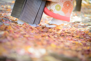 和装用足袋販売