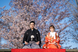 和装のお引き、正座の際の赤い毛氈