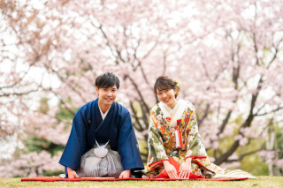 ご両親プレゼント用CDサイズミニアルバム３０P　2冊セット