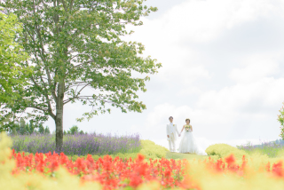 アルバム(10P）1冊増刷アルバムプランをお選びのお客様限定