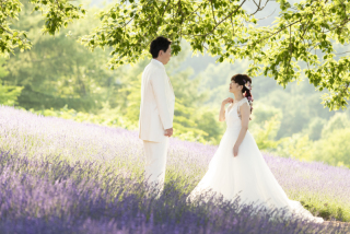 動画編集タイプ