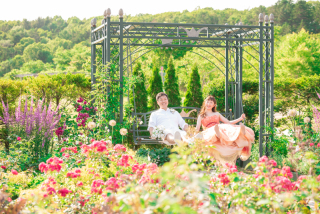 全データ・DVD納品