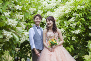 全データ・USBメモリー納品