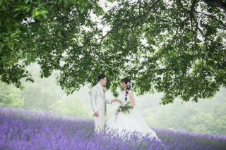 オトナのウェディングフォト 札幌 Cinderella Story Wedding photo_夏のロケーションフォト