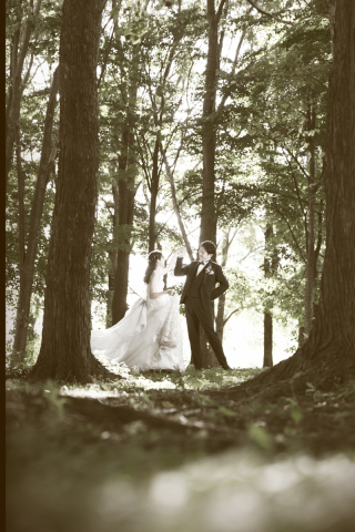 オトナのウェディングフォト 札幌 Cinderella Story Wedding photo_スタジオ80(隣接）＆モエレ沼公園