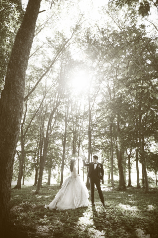 オトナのウェディングフォト 札幌 Cinderella Story Wedding photo_スタジオ80(隣接）＆モエレ沼公園