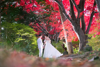 オトナのウェディングフォト 札幌 Cinderella Story Wedding photo_紅葉のロケーションフォト